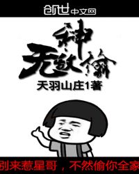 无敌神偷