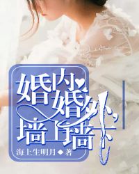 婚内婚外，墙上墙下