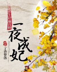 计遍宫野：一夜成妃