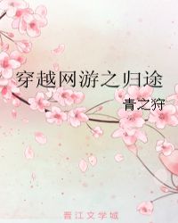 穿越网游之归途