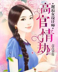 邂逅女设计师：高官情劫