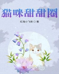 猫咪甜甜圈